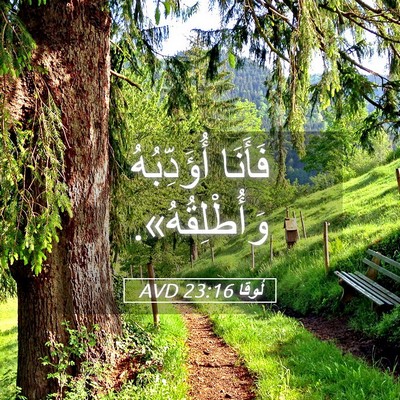 Picture 05 - لُوقا 23:16 AVD - فَأَنَا أُؤَدِّبُهُ - Bible Verse Picture
