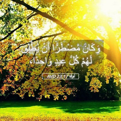Picture 05 - لُوقا 23:17 AVD - وَكَانَ مُضْطَرًّا أَنْ - Bible Verse Picture