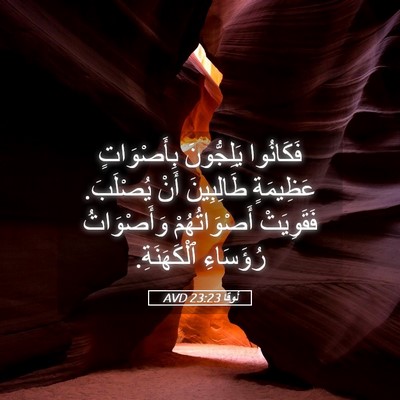 Picture 05 - لُوقا 23:23 AVD - فَكَانُوا يَلِجُّونَ - Bible Verse Picture
