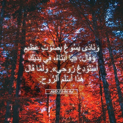 Picture 05 - لُوقا 23:46 AVD - وَنَادَى يَسُوعُ بِصَوْتٍ - Bible Verse Picture