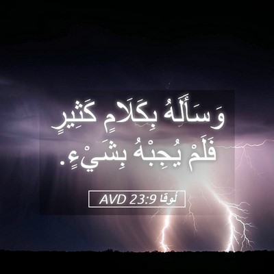 Picture 05 - لُوقا 23:9 AVD - وَسَأَلَهُ بِكَلَامٍ - Bible Verse Picture