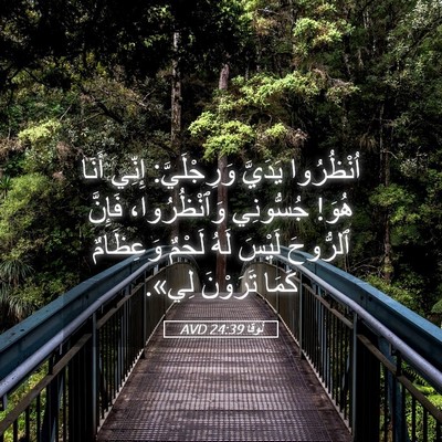 Picture 05 - لُوقا 24:39 AVD - اُنْظُرُوا يَدَيَّ - Bible Verse Picture