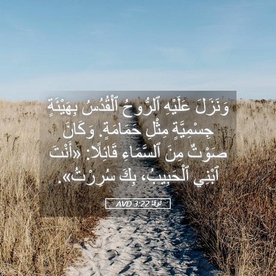Picture 05 - لُوقا 3:22 AVD - وَنَزَلَ عَلَيْهِ - Bible Verse Picture