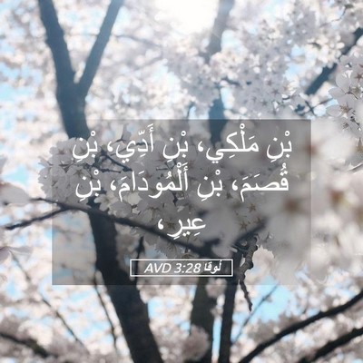 Picture 05 - لُوقا 3:28 AVD - بْنِ مَلْكِي، بْنِ أَدِّي، - Bible Verse Picture