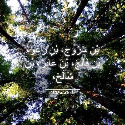 Picture 05 - لُوقا 3:35 AVD - بْنِ سَرُوجَ، بْنِ رَعُو، - Bible Verse Picture
