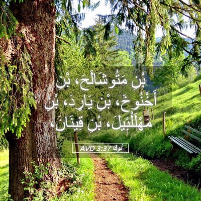 Picture 05 - لُوقا 3:37 AVD - بْنِ مَتُوشَالَحَ، بْنِ - Bible Verse Picture