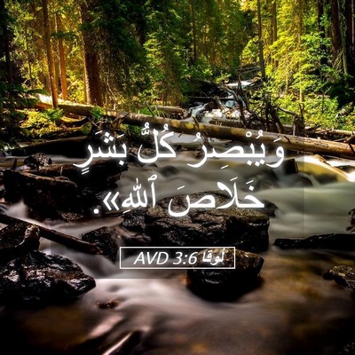 Picture 05 - لُوقا 3:6 AVD - وَيُبْصِرُ كُلُّ بَشَرٍ - Bible Verse Picture