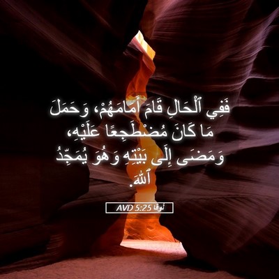 Picture 05 - لُوقا 5:25 AVD - فَفِي ٱلْحَالِ قَامَ - Bible Verse Picture