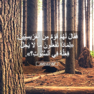 Picture 05 - لُوقا 6:2 AVD - فَقَالَ لَهُمْ قَوْمٌ مِنَ - Bible Verse Picture