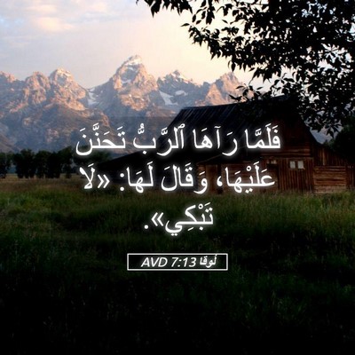 Picture 05 - لُوقا 7:13 AVD - فَلَمَّا رَآهَا ٱلرَّبُّ - Bible Verse Picture