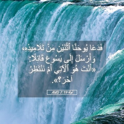 Picture 05 - لُوقا 7:19 AVD - فَدَعَا يُوحَنَّا - Bible Verse Picture