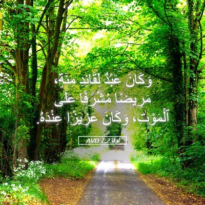 Picture 05 - لُوقا 7:2 AVD - وَكَانَ عَبْدٌ لِقَائِدِ - Bible Verse Picture