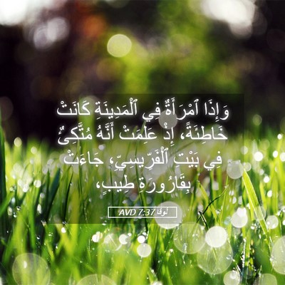 Picture 05 - لُوقا 7:37 AVD - وَإِذَا ٱمْرَأَةٌ فِي - Bible Verse Picture