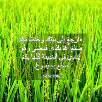 Picture 05 - لُوقا 8:39 AVD - «ٱرْجِعْ إِلَى بَيْتِكَ - Bible Verse Picture