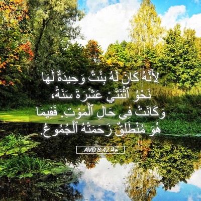 Picture 05 - لُوقا 8:42 AVD - لِأَنَّهُ كَانَ لَهُ - Bible Verse Picture