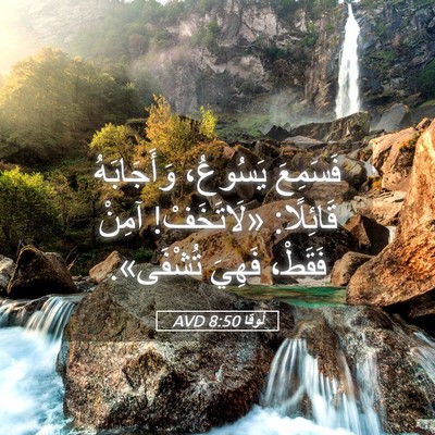 Picture 05 - لُوقا 8:50 AVD - فَسَمِعَ يَسُوعُ، - Bible Verse Picture