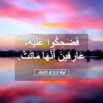 Picture 05 - لُوقا 8:53 AVD - فَضَحِكُوا عَلَيْهِ، - Bible Verse Picture