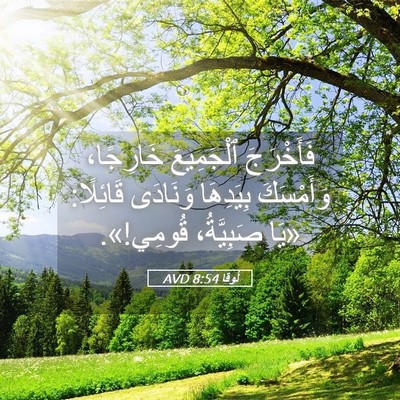 Picture 05 - لُوقا 8:54 AVD - فَأَخْرَجَ ٱلْجَمِيعَ - Bible Verse Picture