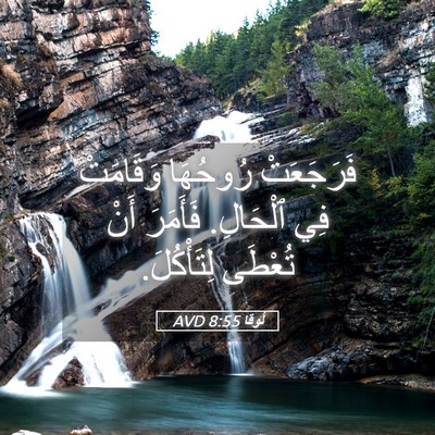 Picture 05 - لُوقا 8:55 AVD - فَرَجَعَتْ رُوحُهَا - Bible Verse Picture