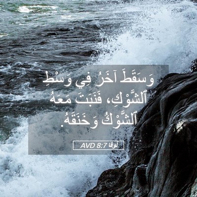 Picture 05 - لُوقا 8:7 AVD - وَسَقَطَ آخَرُ فِي وَسْطِ - Bible Verse Picture