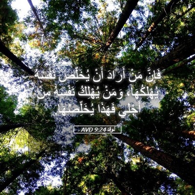 Picture 05 - لُوقا 9:24 AVD - فَإِنَّ مَنْ أَرَادَ أَنْ - Bible Verse Picture