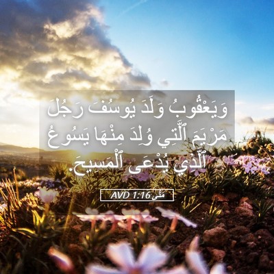 Picture 05 - مَتَّى 1:16 AVD - وَيَعْقُوبُ وَلَدَ - Bible Verse Picture