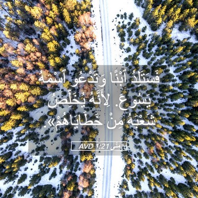 Picture 05 - مَتَّى 1:21 AVD - فَسَتَلِدُ ٱبْنًا - Bible Verse Picture