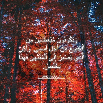 Picture 05 - مَتَّى 10:22 AVD - وَتَكُونُونَ مُبْغَضِينَ - Bible Verse Picture