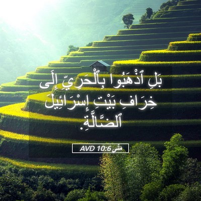 Picture 05 - مَتَّى 10:6 AVD - بَلِ ٱذْهَبُوا - Bible Verse Picture