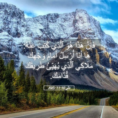 Picture 05 - مَتَّى 11:10 AVD - فَإِنَّ هَذَا هُوَ ٱلَّذِي - Bible Verse Picture