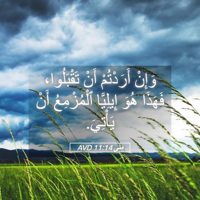 Picture 05 - مَتَّى 11:14 AVD - وَإِنْ أَرَدْتُمْ أَنْ - Bible Verse Picture