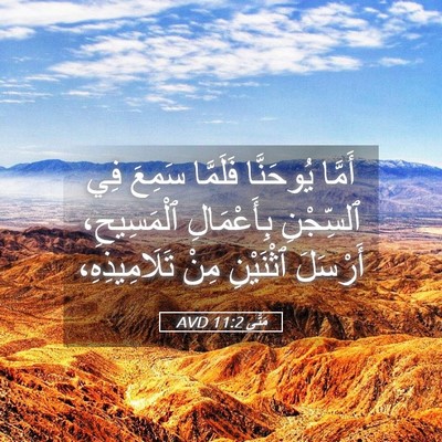 Picture 05 - مَتَّى 11:2 AVD - أَمَّا يُوحَنَّا فَلَمَّا - Bible Verse Picture