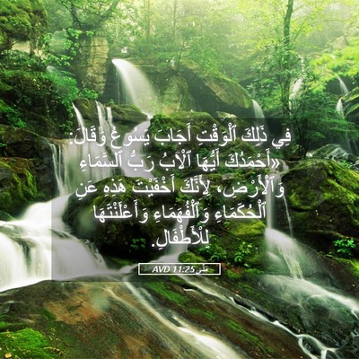 Picture 05 - مَتَّى 11:25 AVD - فِي ذَلِكَ ٱلْوَقْتِ - Bible Verse Picture