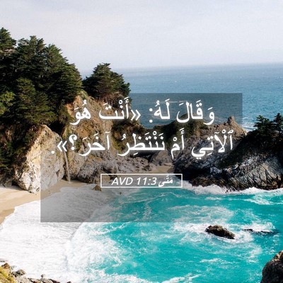 Picture 05 - مَتَّى 11:3 AVD - وَقَالَ لَهُ: «أَنْتَ هُوَ - Bible Verse Picture