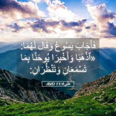 Picture 05 - مَتَّى 11:4 AVD - فَأَجَابَ يَسُوعُ وَقَالَ - Bible Verse Picture