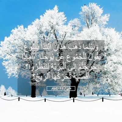 Picture 05 - مَتَّى 11:7 AVD - وَبَيْنَمَا ذَهَبَ - Bible Verse Picture