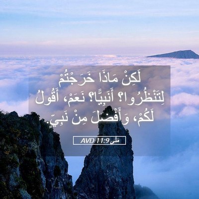 Picture 05 - مَتَّى 11:9 AVD - لَكِنْ مَاذَا خَرَجْتُمْ - Bible Verse Picture