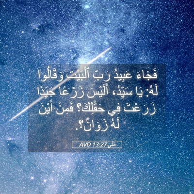 Picture 05 - مَتَّى 13:27 AVD - فَجَاءَ عَبِيدُ رَبِّ - Bible Verse Picture