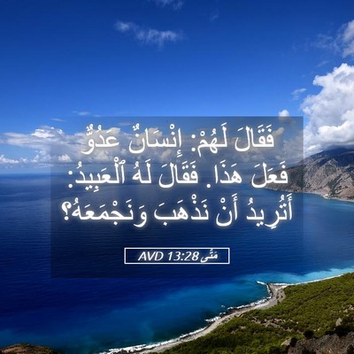 Picture 05 - مَتَّى 13:28 AVD - فَقَالَ لَهُمْ: إِنْسَانٌ - Bible Verse Picture