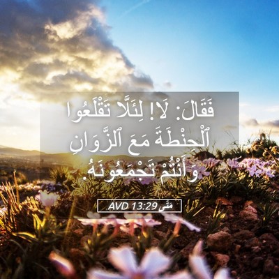 Picture 05 - مَتَّى 13:29 AVD - فَقَالَ: لَا! لِئَلَّا - Bible Verse Picture