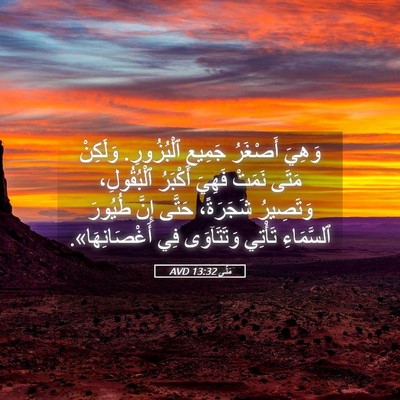 Picture 05 - مَتَّى 13:32 AVD - وَهِيَ أَصْغَرُ جَمِيعِ - Bible Verse Picture