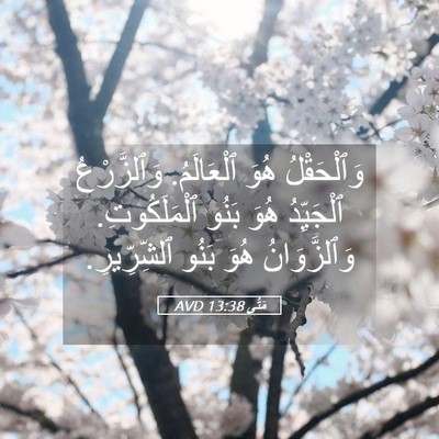 Picture 05 - مَتَّى 13:38 AVD - وَٱلْحَقْلُ هُوَ - Bible Verse Picture