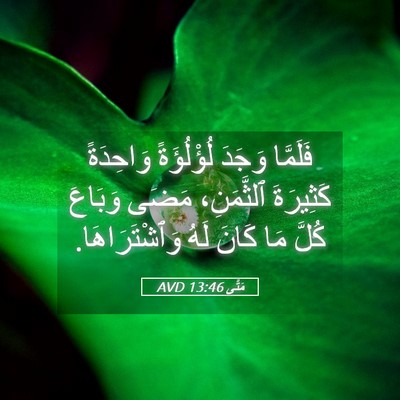 Picture 05 - مَتَّى 13:46 AVD - فَلَمَّا وَجَدَ - Bible Verse Picture