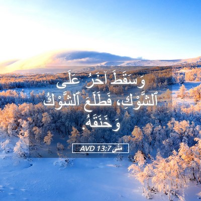 Picture 05 - مَتَّى 13:7 AVD - وَسَقَطَ آخَرُ عَلَى - Bible Verse Picture