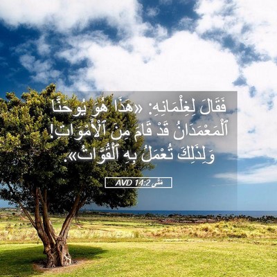 Picture 05 - مَتَّى 14:2 AVD - فَقَالَ لِغِلْمَانِهِ: - Bible Verse Picture