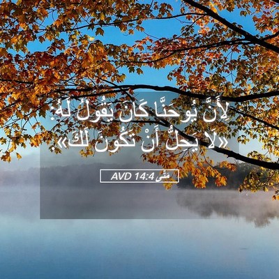 Picture 05 - مَتَّى 14:4 AVD - لِأَنَّ يُوحَنَّا كَانَ - Bible Verse Picture