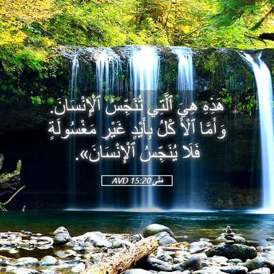 Picture 05 - مَتَّى 15:20 AVD - هَذِهِ هِيَ ٱلَّتِي - Bible Verse Picture