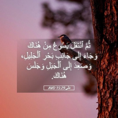Picture 05 - مَتَّى 15:29 AVD - ثُمَّ ٱنْتَقَلَ يَسُوعُ - Bible Verse Picture