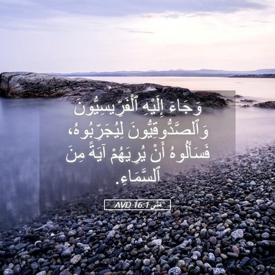Picture 05 - مَتَّى 16:1 AVD - وَجَاءَ إِلَيْهِ - Bible Verse Picture