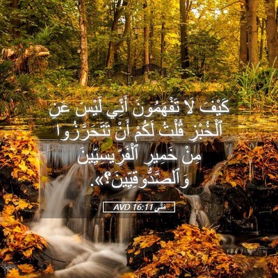 Picture 05 - مَتَّى 16:11 AVD - كَيْفَ لَا تَفْهَمُونَ - Bible Verse Picture